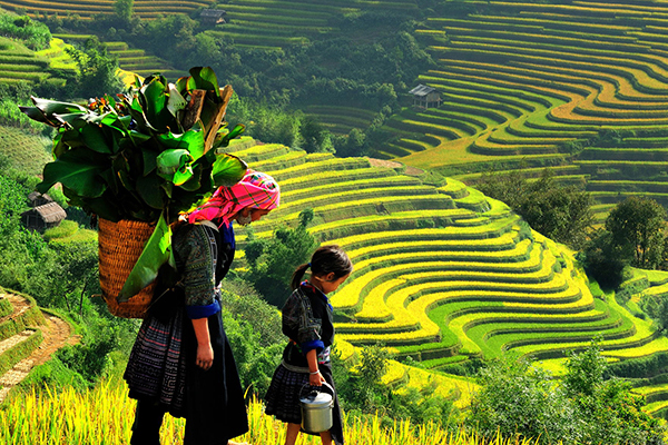 HOTDEAL: 3NIGHTS - 2 DAYS SAPA HILL TRIBES TREK AND 1 NIGHT AT HOTEL